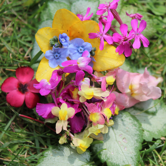 Floral Relaxation