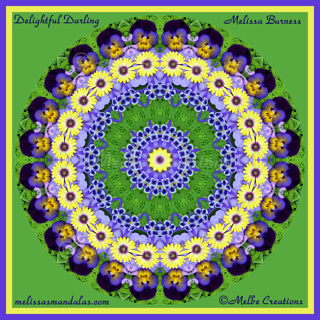 Delightful Darling Before and After