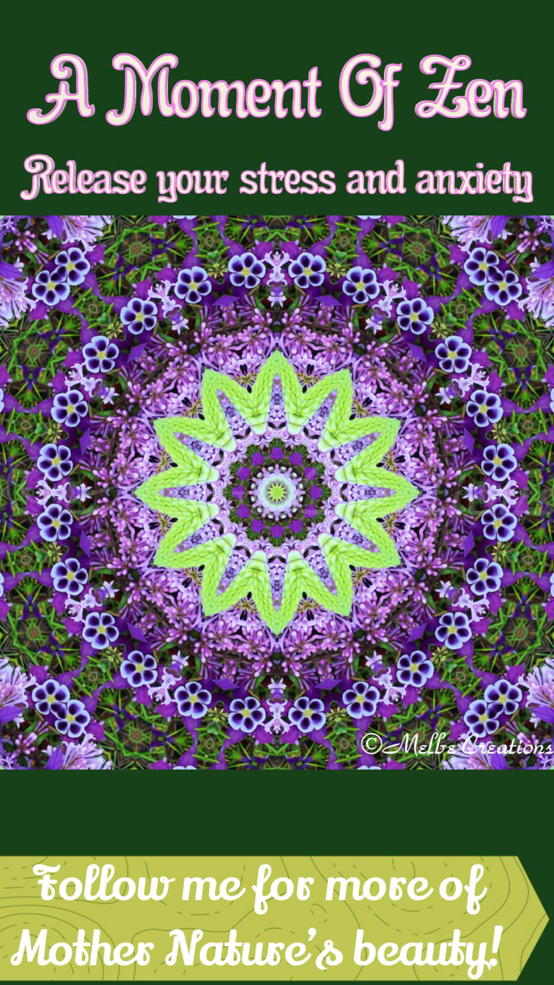 Summer Solace Relaxation Video