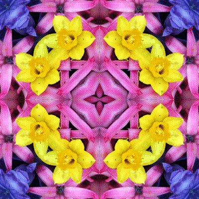 Whimsical Wednesday