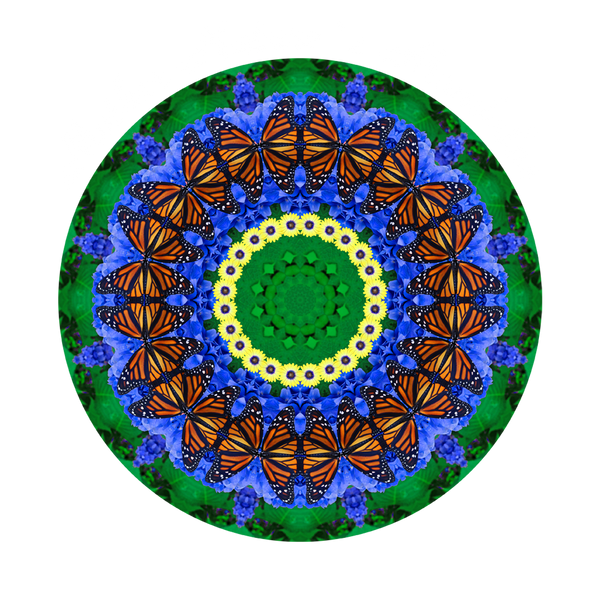 Mother Nature's Mandalas