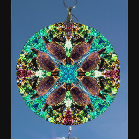Sea Turtle Suncatcher, Sea Turtle Gifts, Under The Sea Art, Sacred Geometry Mandala, Window Décor, Sunlight Catcher, Crystal Art, Zen Art