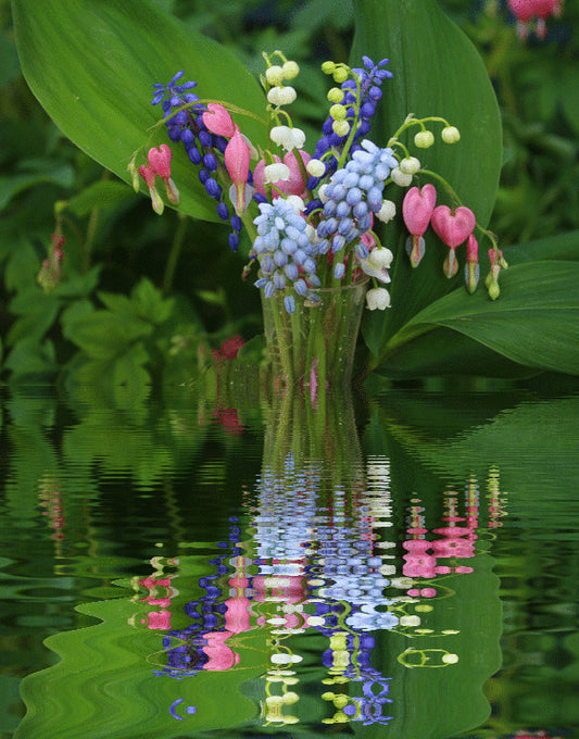 Spring Flowers